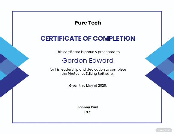 Image 2 for Certificate Template For Project Completion