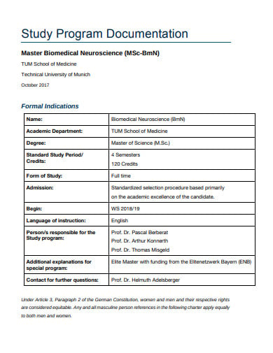 Free 11 Program Documentation Templates In Pdf Ms Word 9925