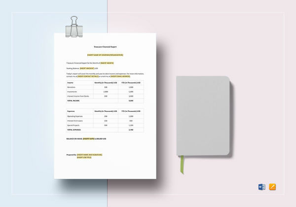 treasurer financial report mockup