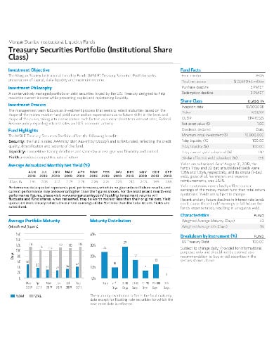 treasury securities portfolio
