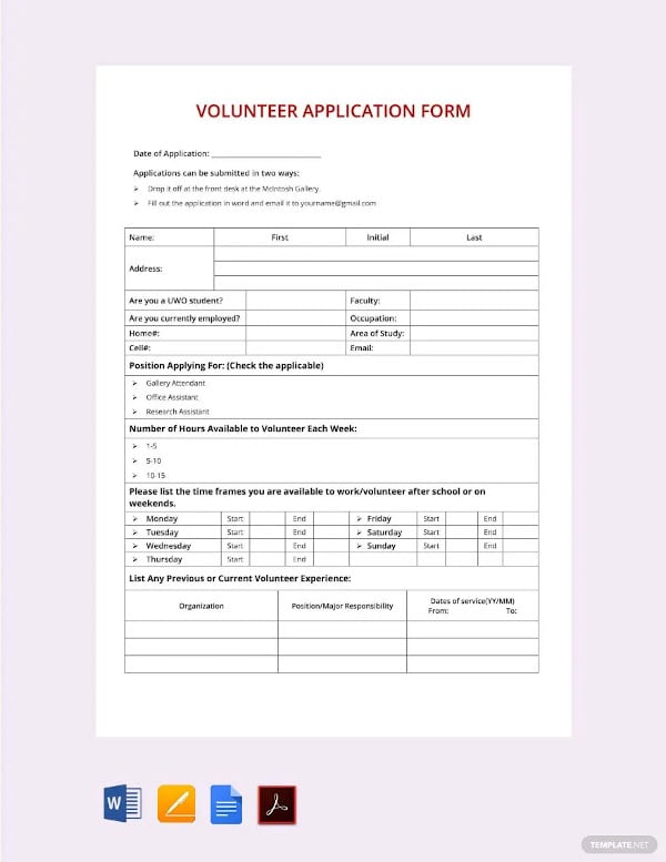 volunteer application template