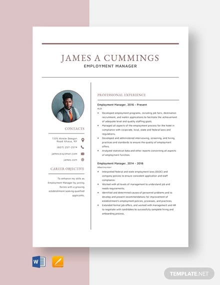 employment manager resume template
