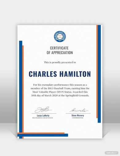 sports appreciation certificate template