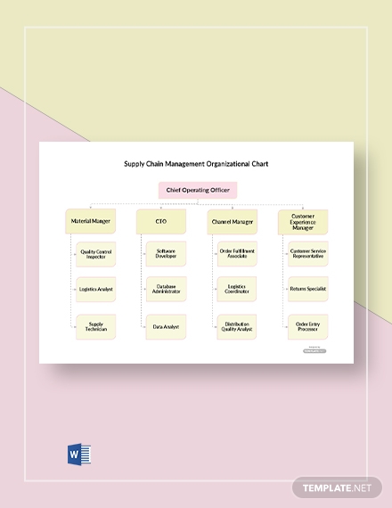 supply chain management organizational chart