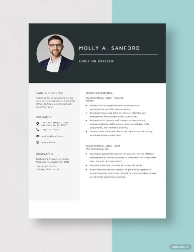 chief hr officer resume template