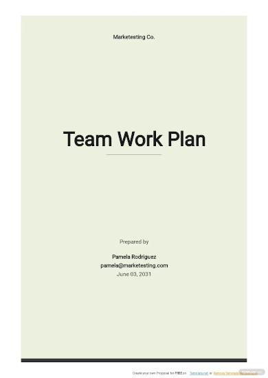team work plan template