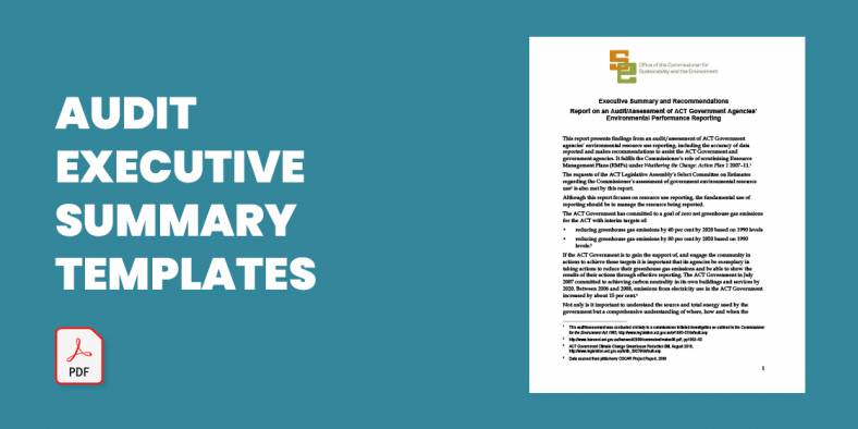11+ Audit Executive Summary Templates in PDF | MS Word