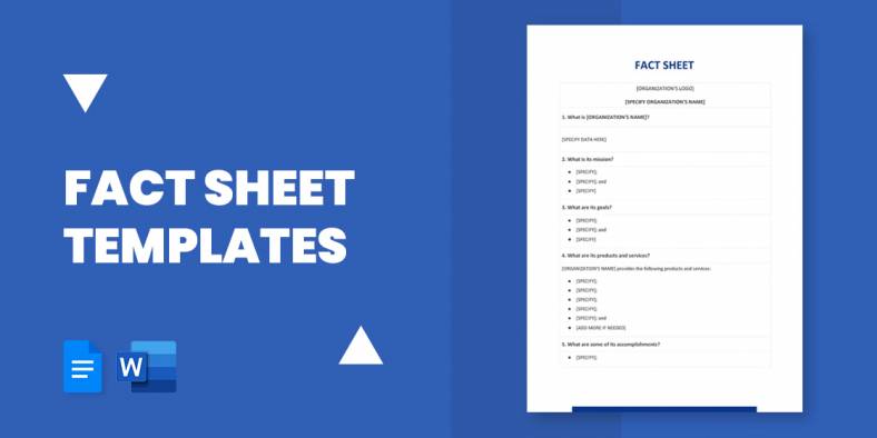 24+ Best MS Word Format Templates