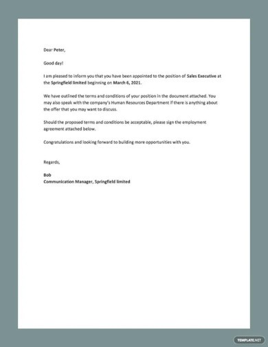 Employee Appointment Letter Templates - 12+ Word, PDF Format Download