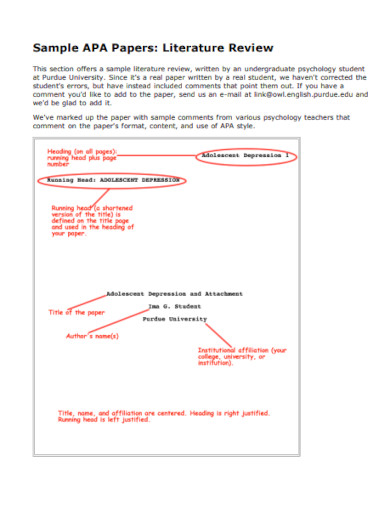 14+ Literature Review Examples
