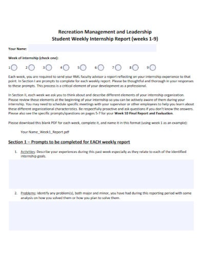 student-weekly-internship-progress-report