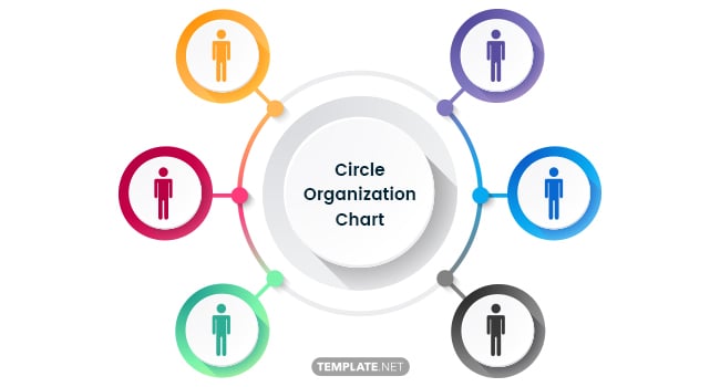 circle-organization-chart