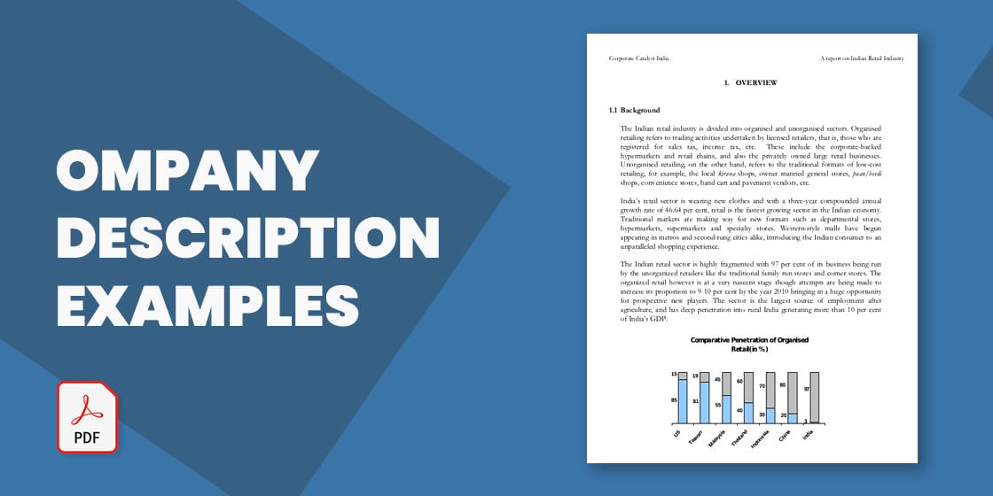 13+ Company Description Examples - PDF