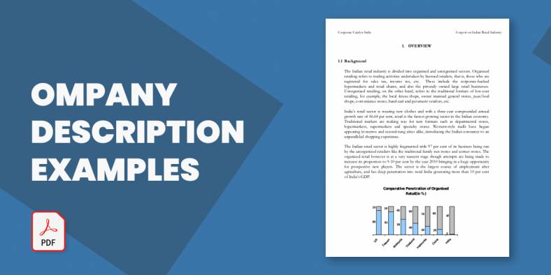 13+ Company Description Examples – PDF