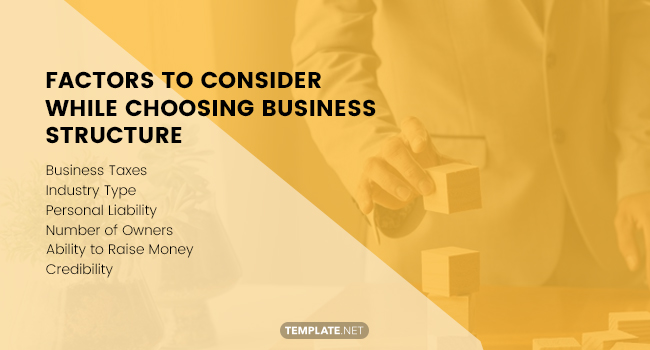 factors to consider while choosing business structure