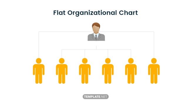 flat-organizational-chart