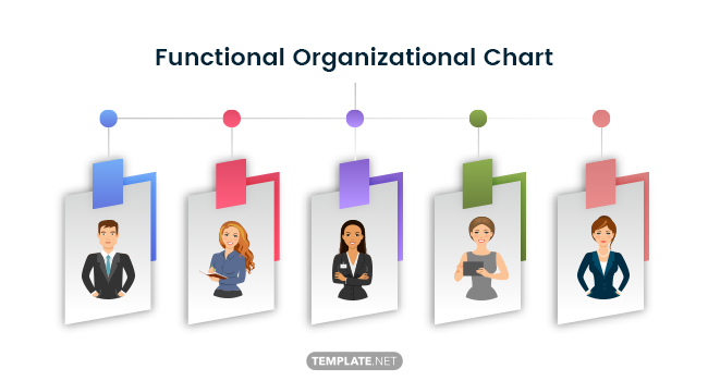 functional-organizational-chart