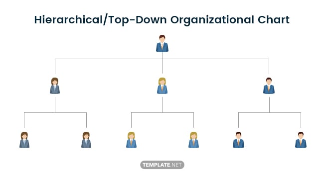 hierarchical-top-down-organizational-chart
