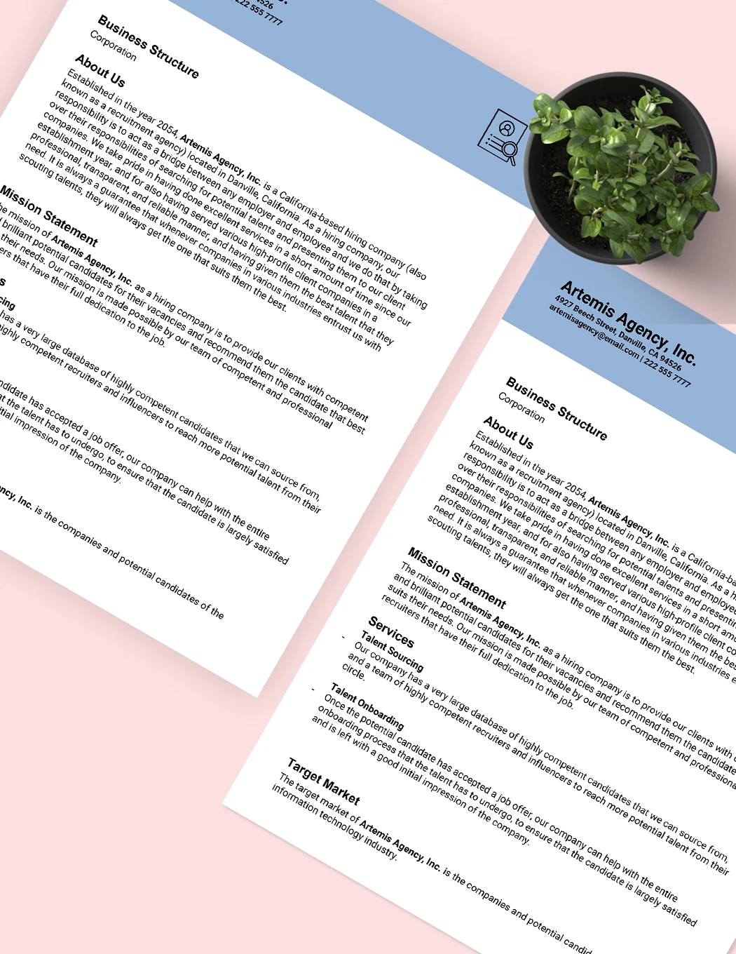 13  Company Description Examples PDF