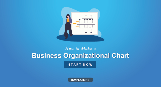 how-to-create-a-business-organizational-chart1