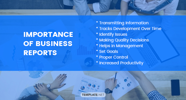 importance-of-business-reports