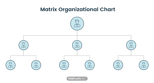 matrix-organizational-chart