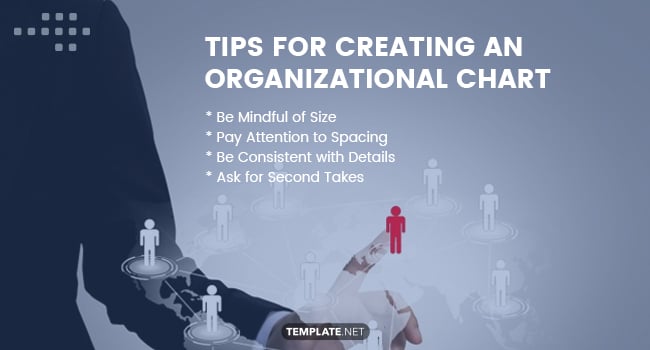 tips-for-creating-an-organizational-chart
