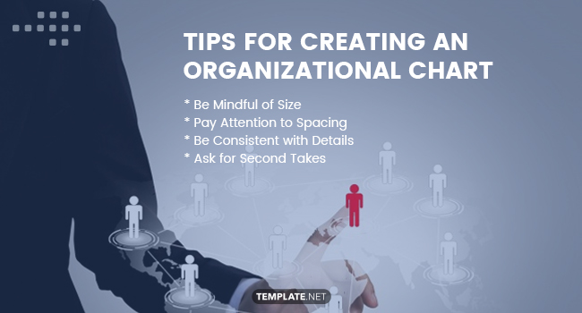 tips for creating an organizational chart