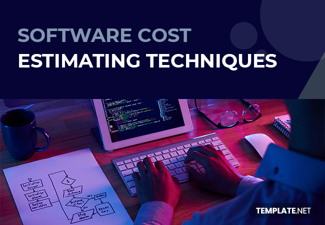 software cost estimating techniques