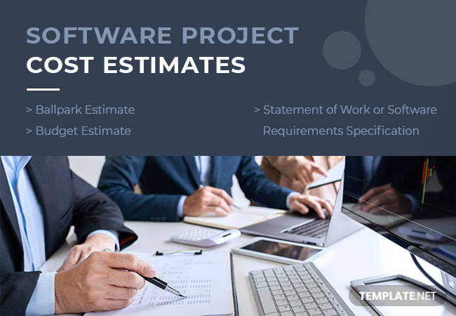 software project cost estimates