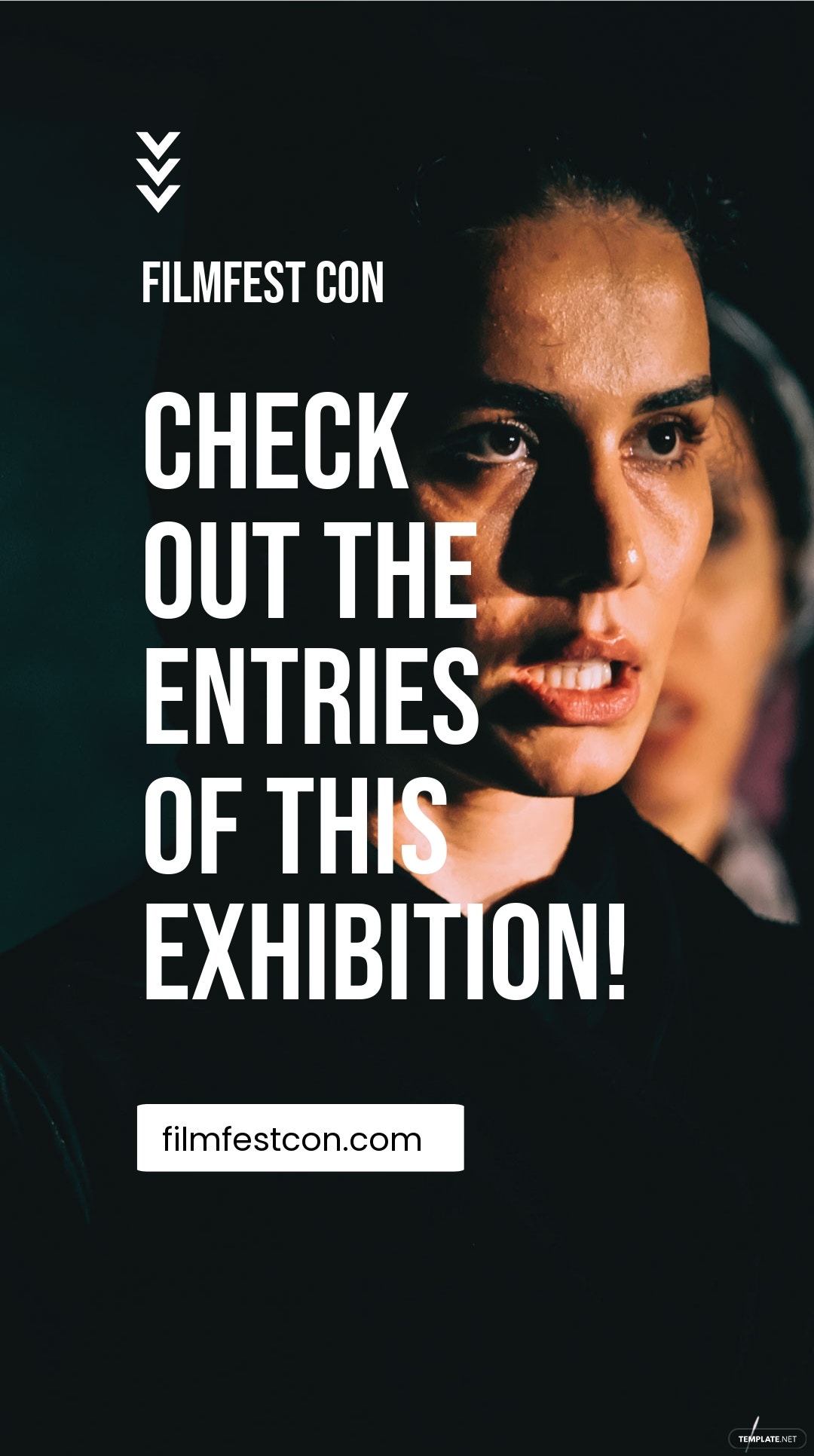 exhibition entry instagram story template