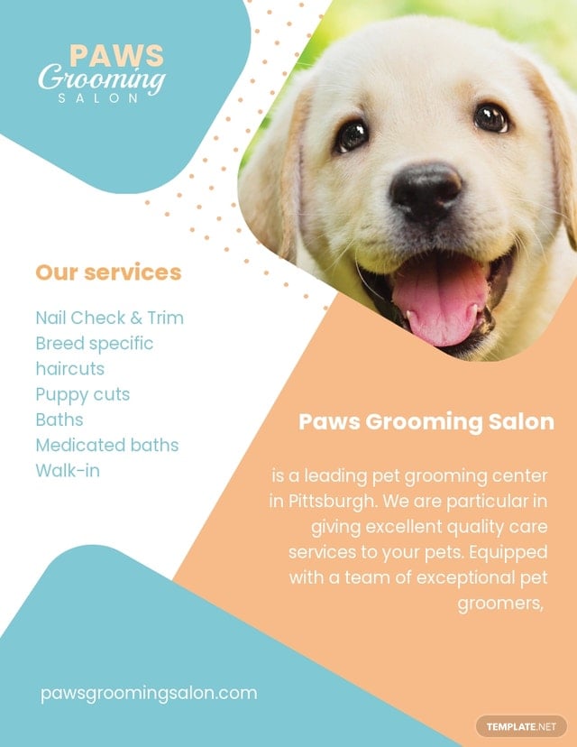 pet grooming pamphlet template