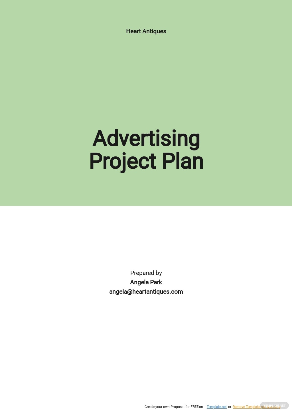 advertising project plan template