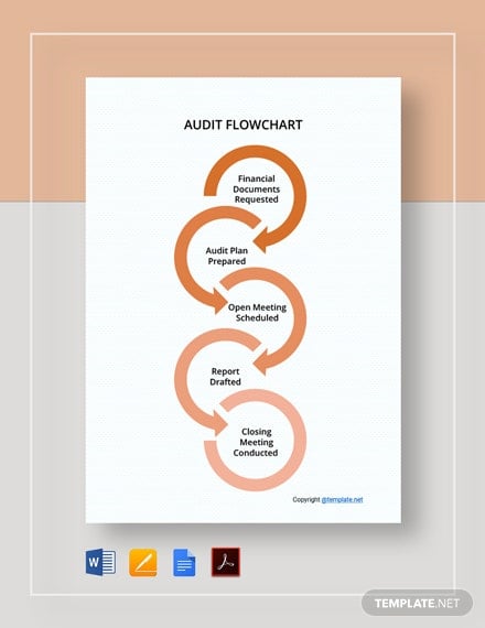 basic-audit-flowchart