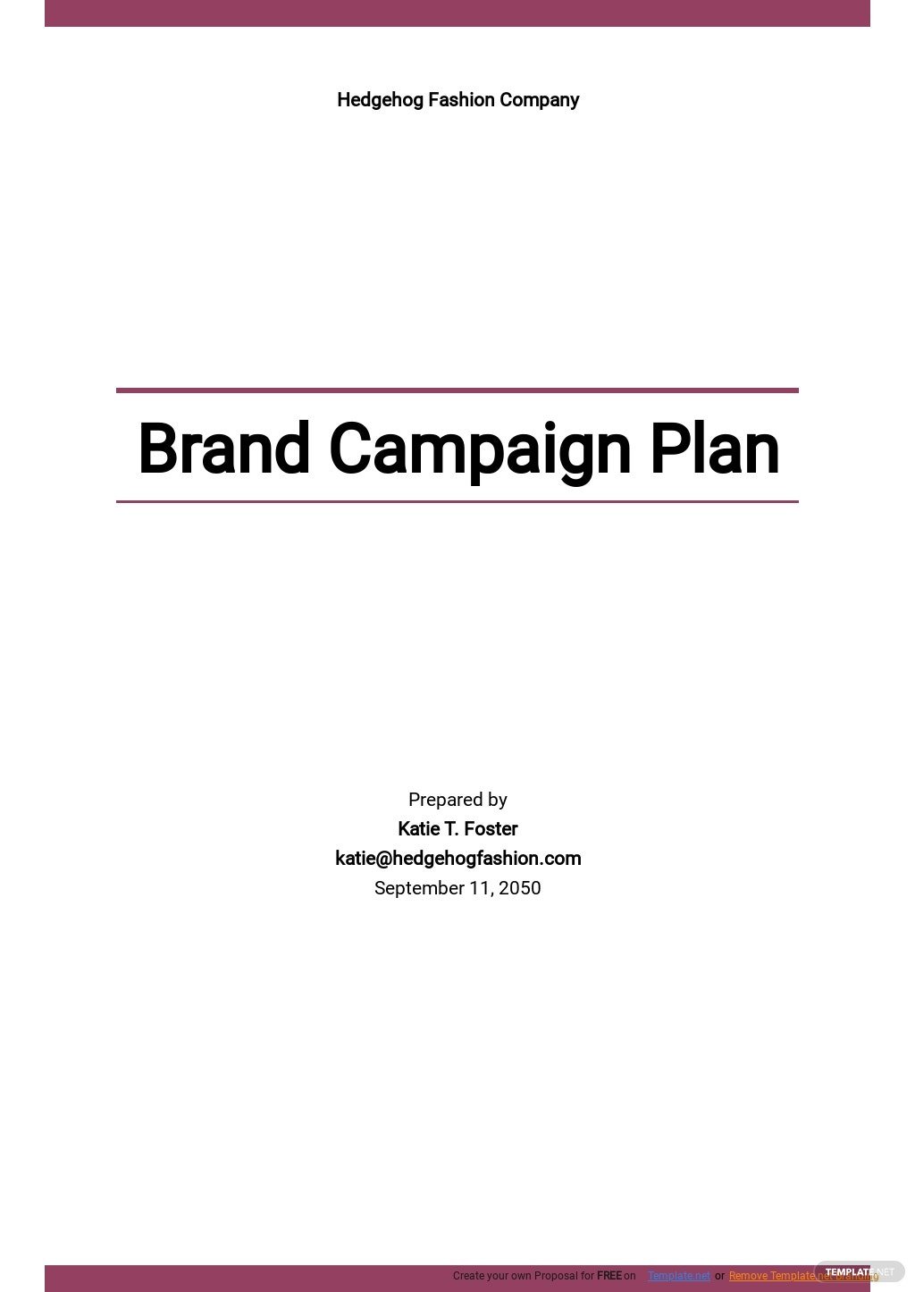 brand campaign plan template