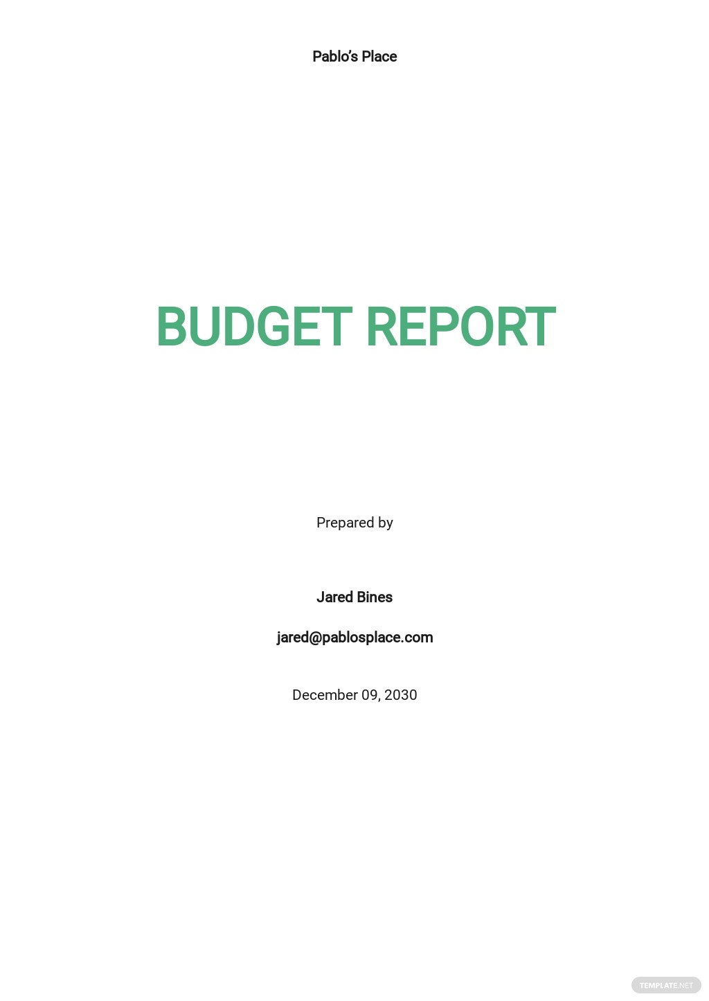 budget report template