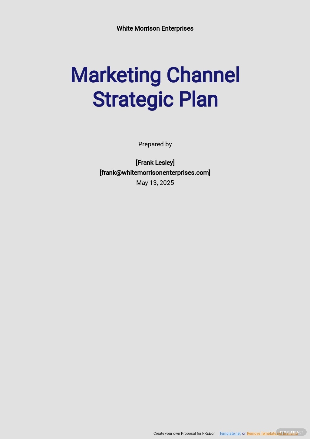 channel strategy plan template