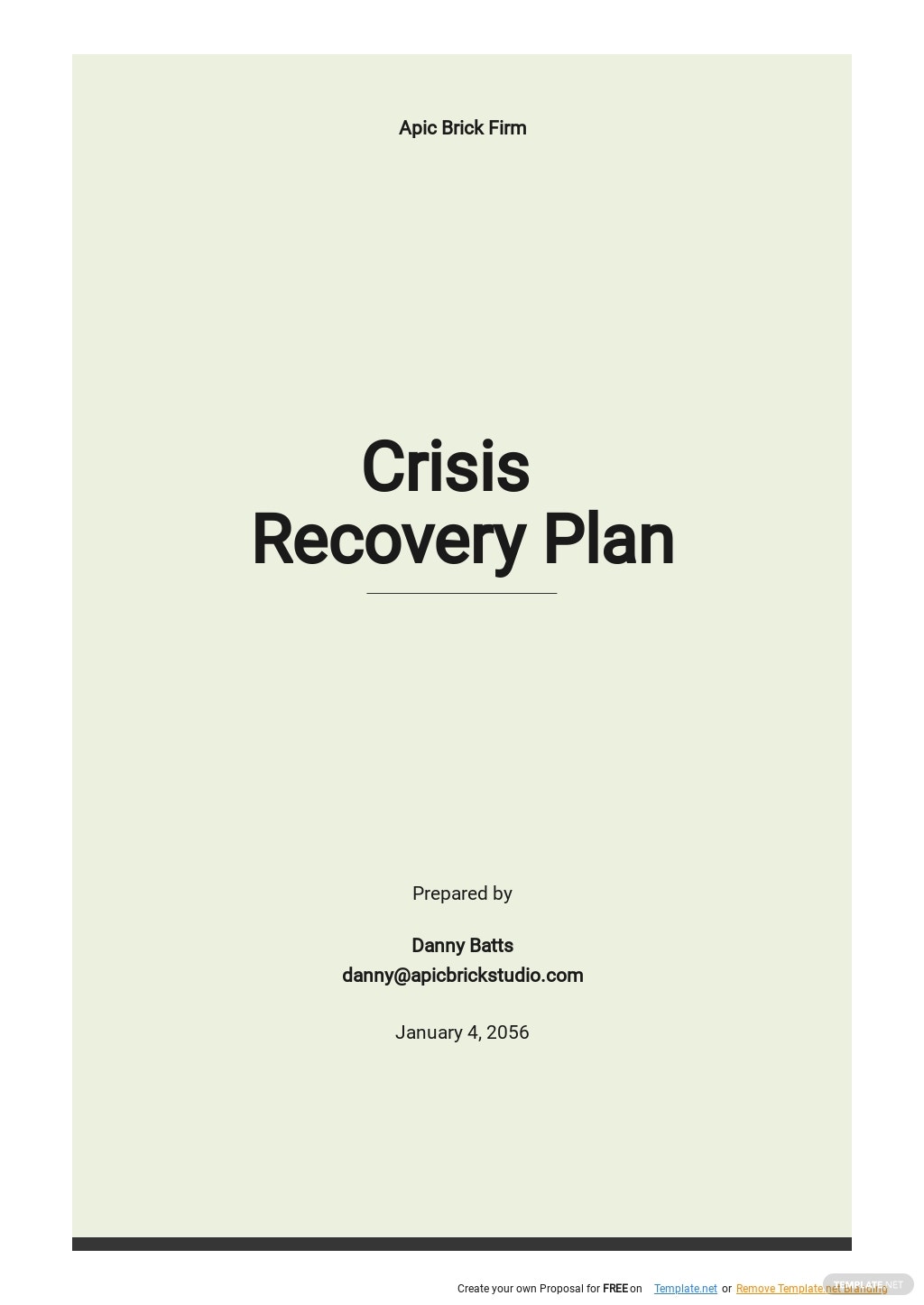 crisis recovery plan template