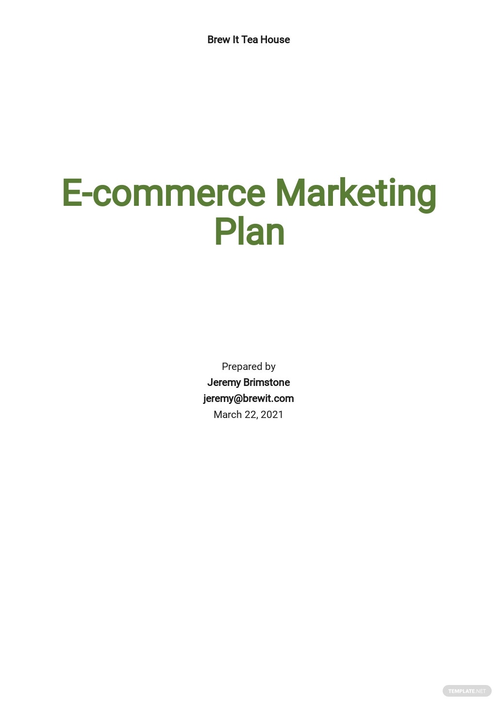 e commerce marketing plan template
