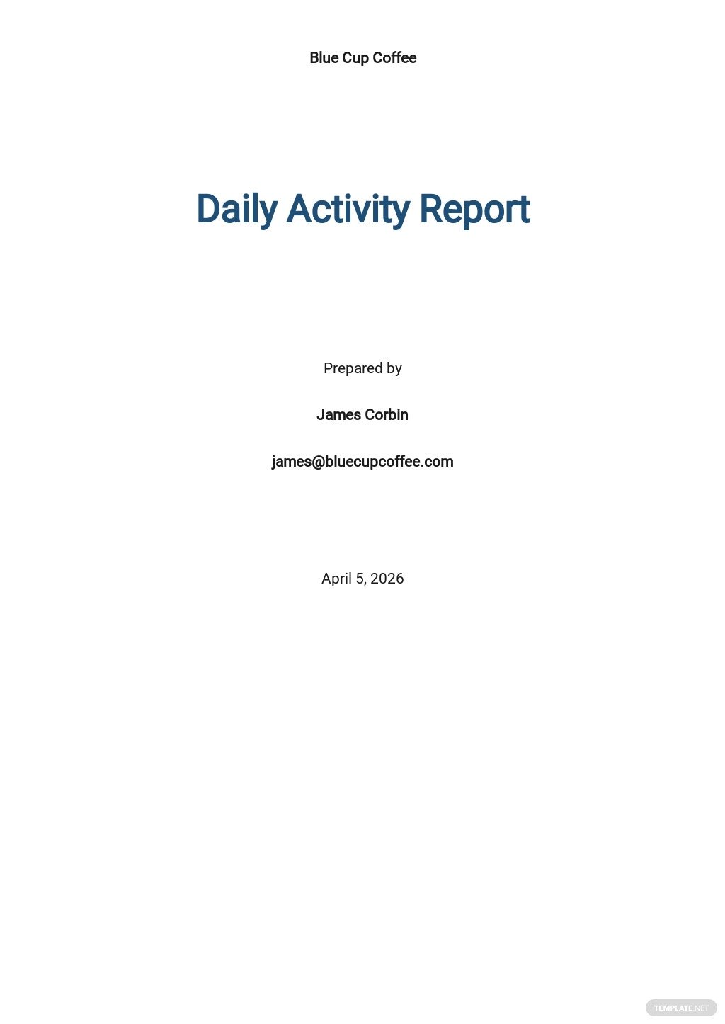 free daily activity report template