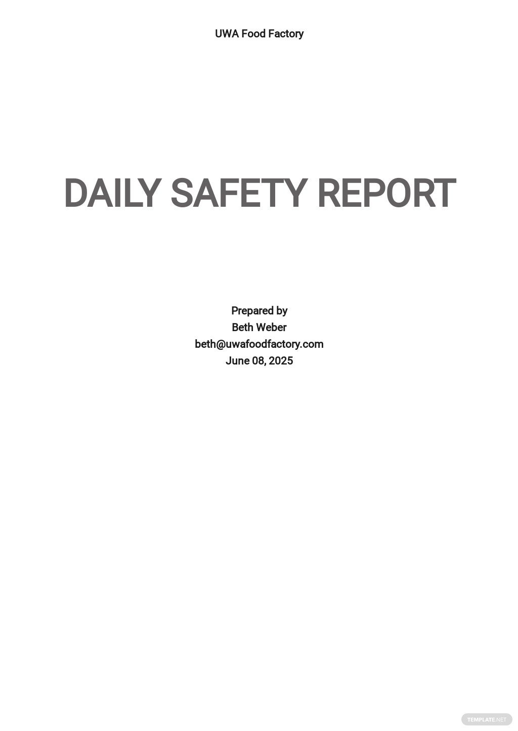 free daily safety report template