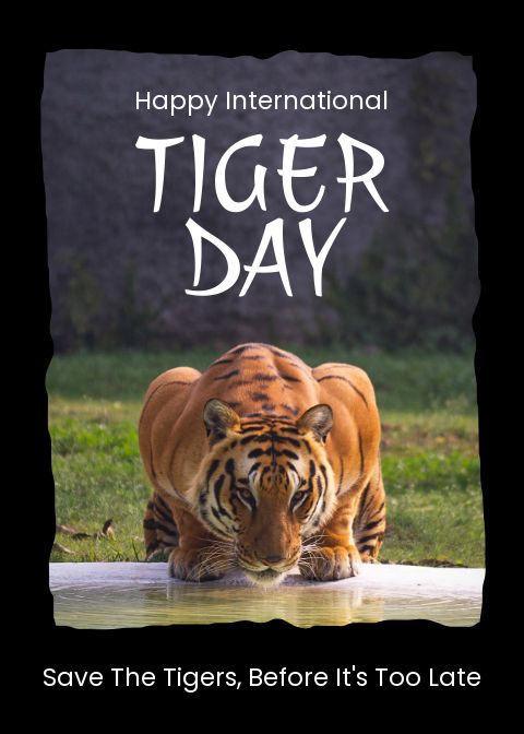 free-international-tiger-day-greeting-card