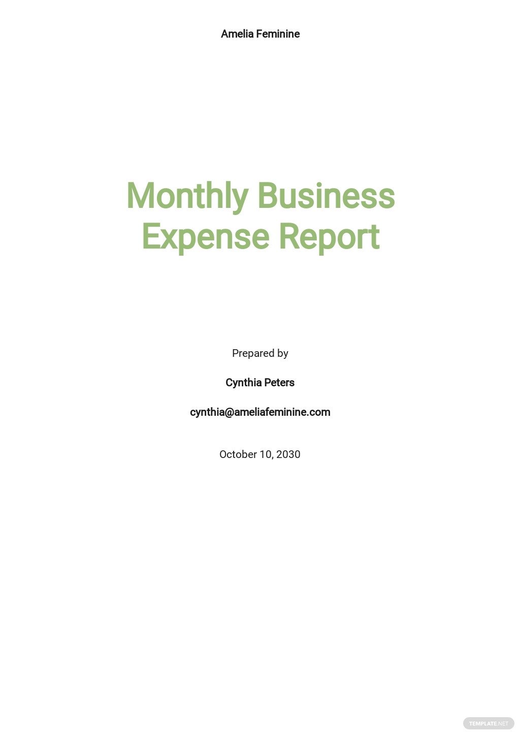 free monthly business expense report template