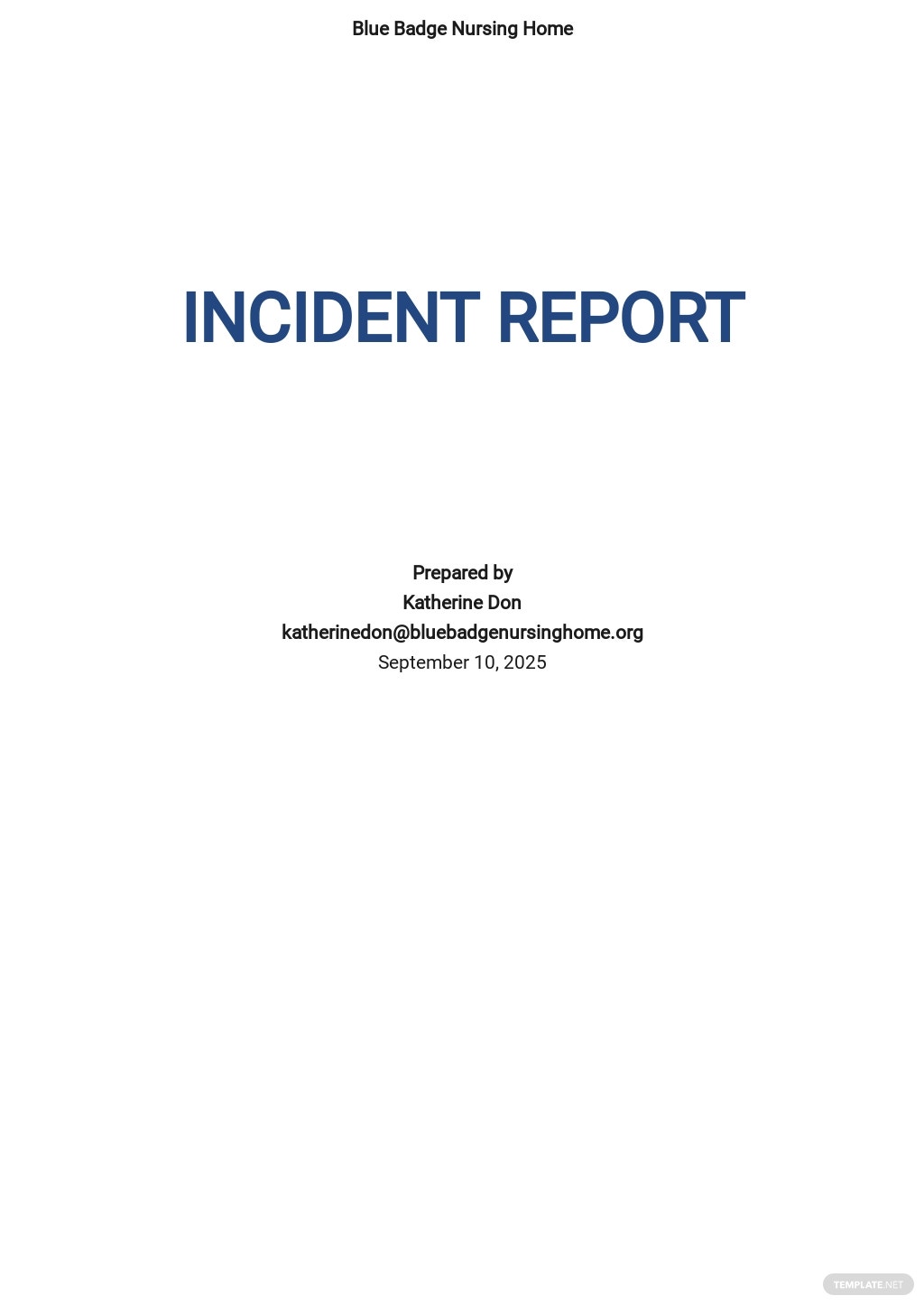 incident report essay example