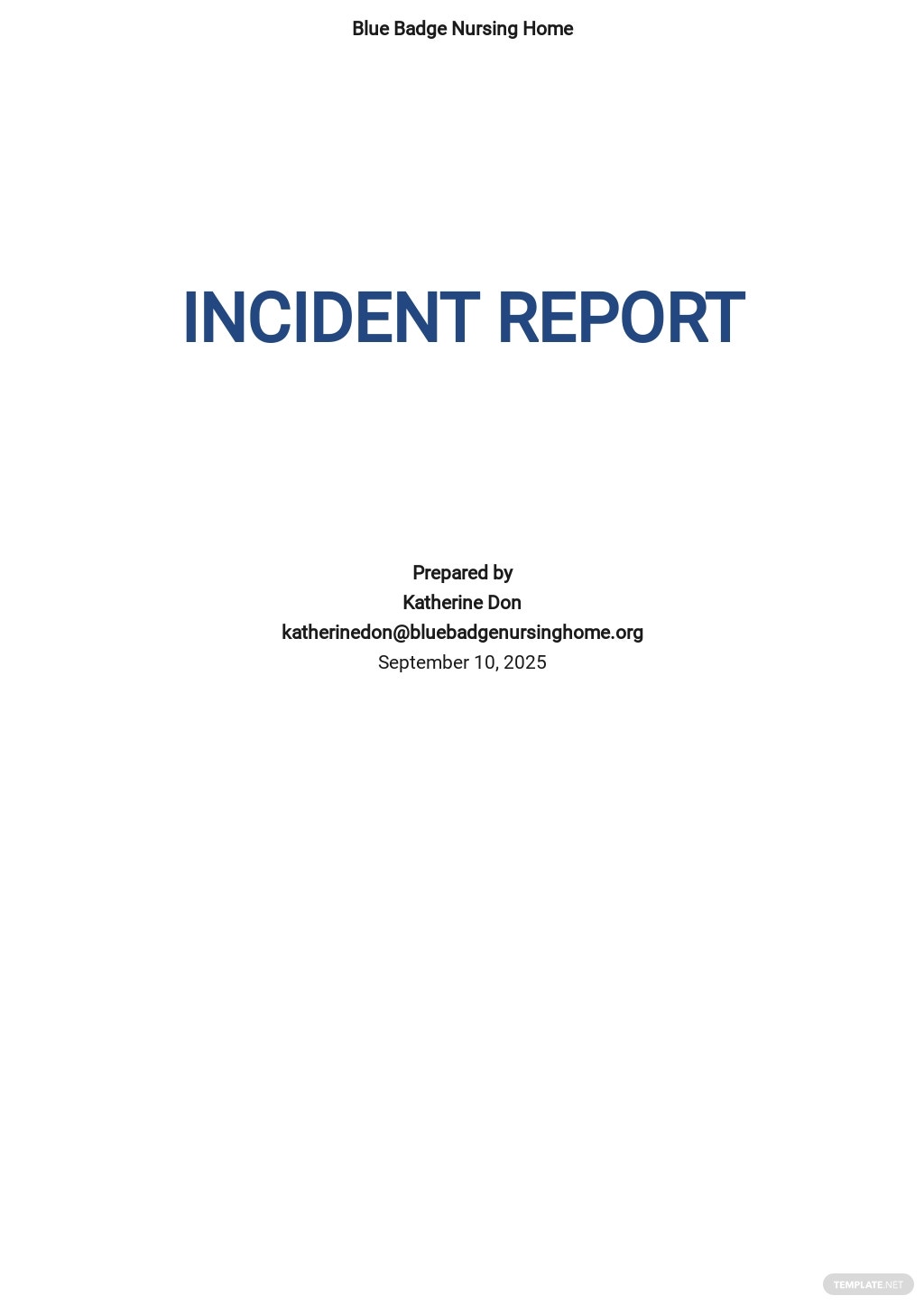 incident report essay sample