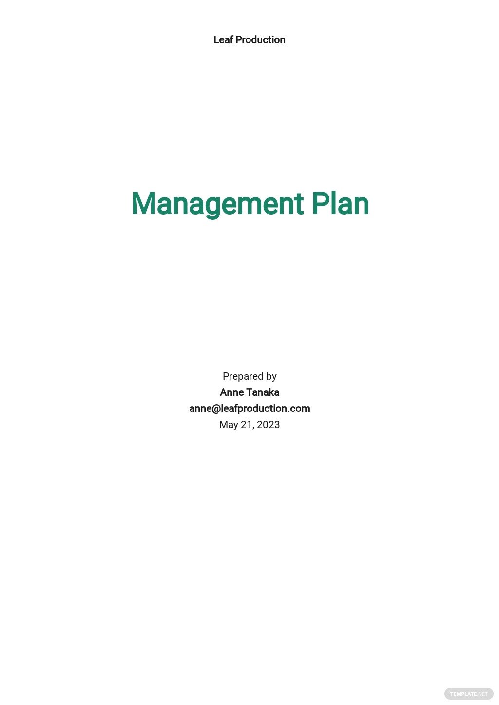 management plan template