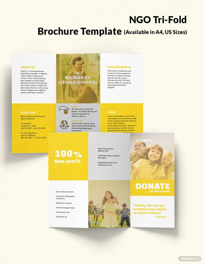 ngo trifold brochure template 880 788x10