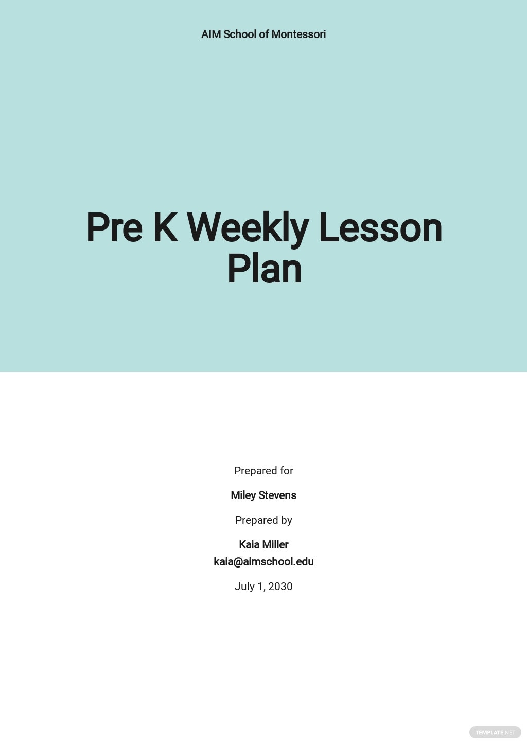 50+ Lesson Plan Samples, Format & Examples 2023