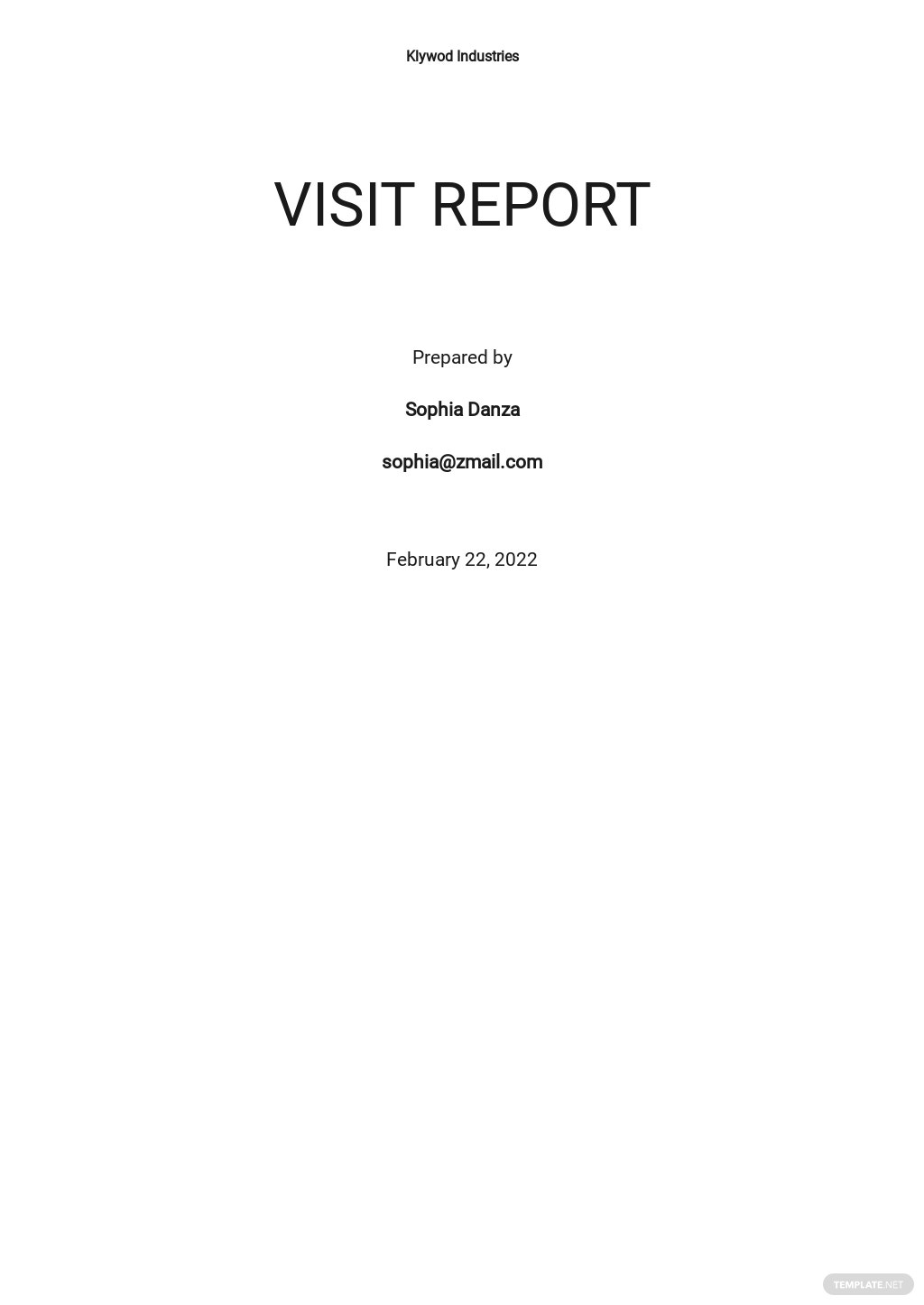 visit report template