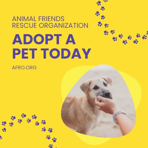 adopt a pet linkedin post